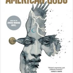 DARK HORSE American Gods Volume 1 Shadows Graphic Novel (Hardcover)